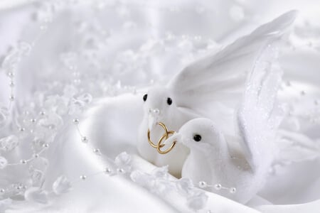 Zwei weiße Tauben mit den Eheringen im Schnabel - Zeichen für lebenslange Treue