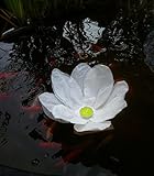 5 weiße Wasserlaternen „Lotus“ – Schwimmendes Wasserlicht Blume - 3