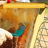4 große Stumpen Kerzen à 360 Gramm, Höhe 12,5 cm, Durchmesser 6,5 cm. BIENENWACHS KERZEN aus reinem Imkerwachs – aus der Schwarzwälder Kerzenmanufaktur - 5