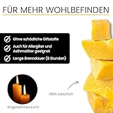 TAFELKERZEN aus 100% IMKER BIENENWACHS – 10 Kerzen aus der Schwarzwälder Kerzenmanufaktur. 20 cm hoch - 5