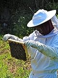 AMA-Feinkost 60 St. Teelichter aus 100% Bienenwachs Handgefertigt direkt vom Imker Sparpack Nachfüllpack - 6