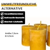 4 mittlere Stumpenkerzen Höhe 7,5 cm, Durchmesser 6,5 cm. BIENENWACHSKERZEN aus reinem Imkerwachs – Kerzen aus der Schwarzwälder Kerzenmanufaktur. - 4