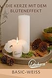 Candela Lotuskerze basic weiß 23 cm - 2