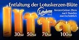 Candela Lotuskerze basic orange 28 cm - 2