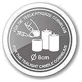 Wenzel-Kerzen 23-217-50-UK Nightlights in Kunststoffhülle bis zu 8 h Brenndauer, Pack a 50 Stück - 6