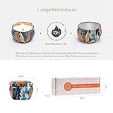 Anjou Duftkerzen Geschenkset 3er Set Soja Wachs 3 x 60g, Düfte: Sehr Vanille, Weihnachtsholz, frischer Wind, Verwendung für Aromatherapie, Bad, Yoga, perfekt für Weihnachten, Geburtstag, Muttertag - 7