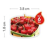 Yankee Candle Teelichter-Kerzen, Black Cherry, 12er-Packung - 3
