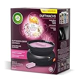 Air Wick Duftwachs Starter-Set, inkl. zwei Duftwachs-Stäbchen Sommervergnügen - 2
