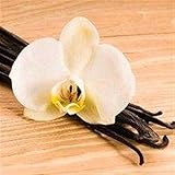 Air Wick Duftwachs Nachfüller, Winterlicher Zimttraum, 6 Duftwachsstäbchen - 4