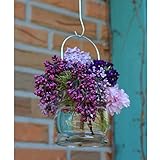 Windlichter, 6 Stück mit Henkel, Laterne Glaslaterne Garten-Deko, Ø 9cm - 5